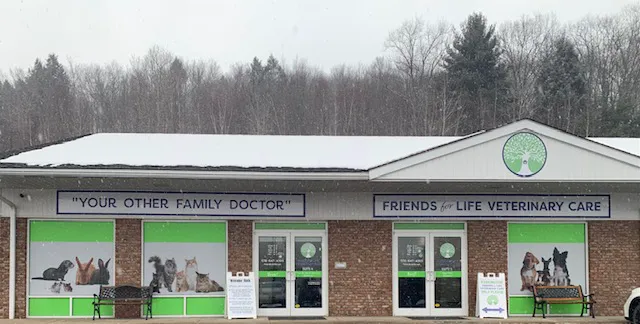 Friends for Life Veterinary Care Picture 3
