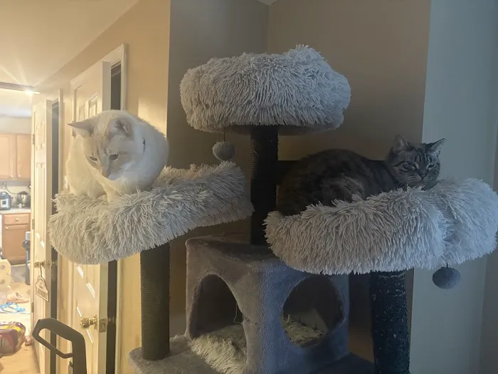Friends for Life Veterinary Care Picture 9