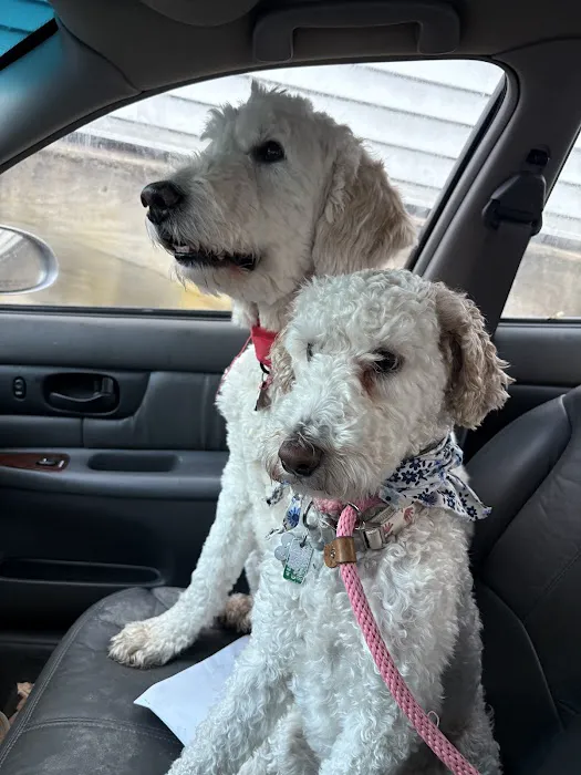 Friends for Life Veterinary Care Picture 5