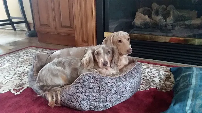 Friends for Life Veterinary Care Picture 6