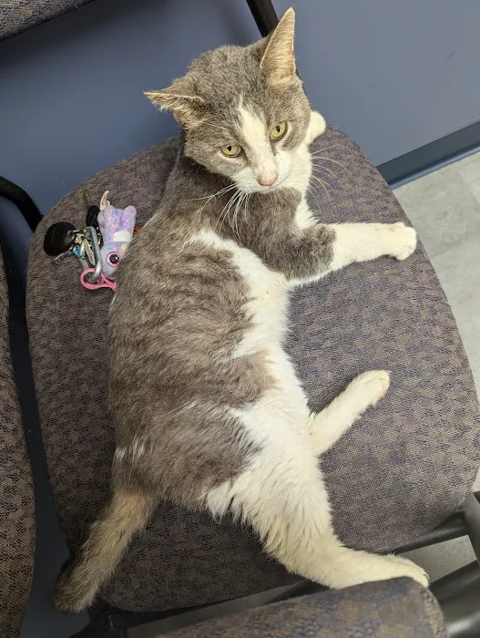 Fallbrook Veterinary Clinic Picture 3