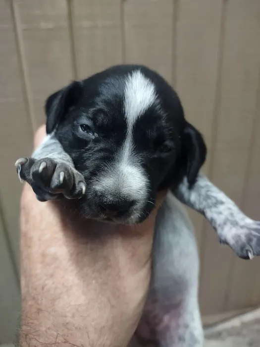 Fallbrook Veterinary Clinic Picture 2