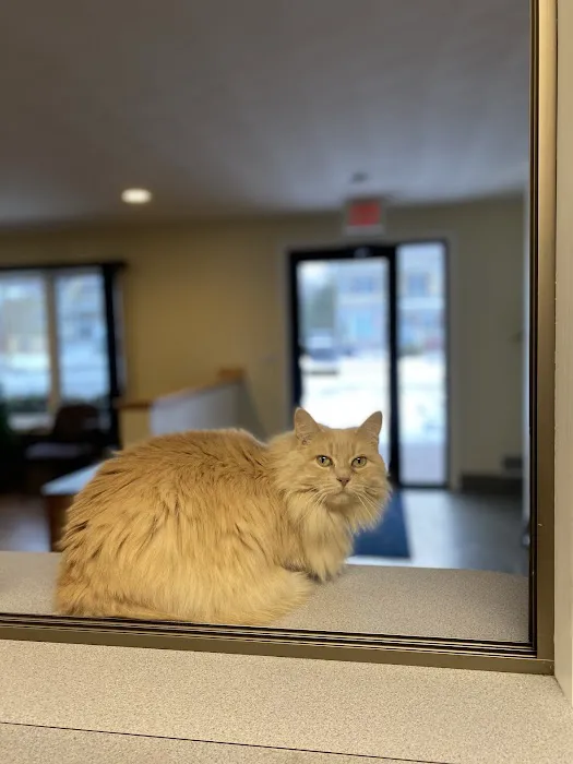 Fallbrook Veterinary Clinic Picture 4