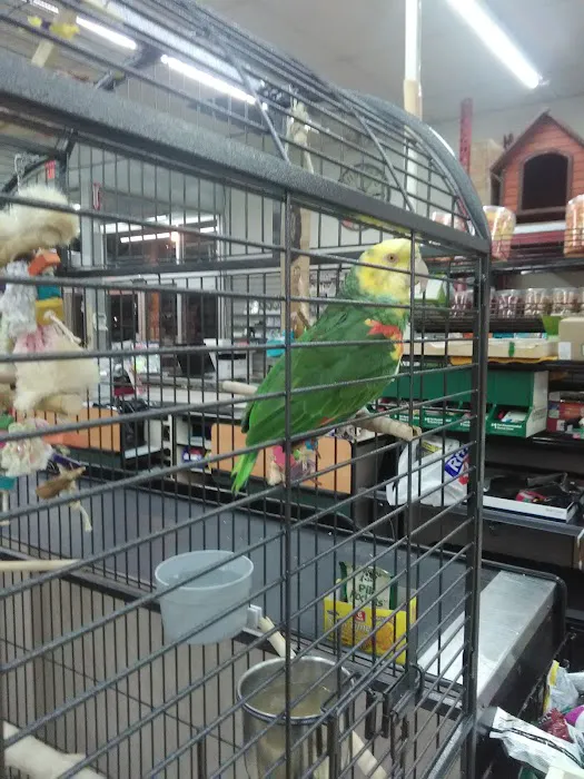 I Love My Pets Picture 6