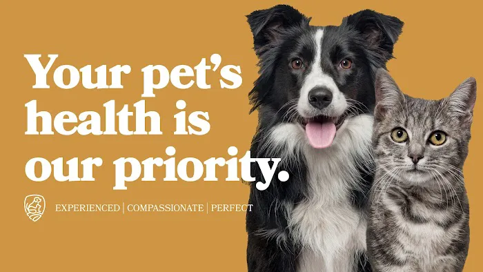 Highland Veterinary Clinic Picture 8