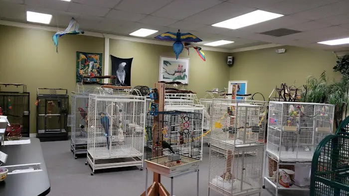 Parrotzville The Bird Store/ surrender Picture 8