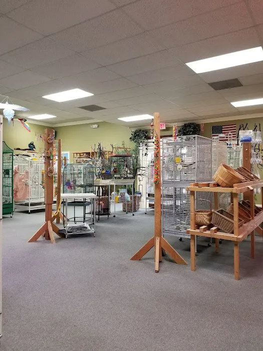 Parrotzville The Bird Store/ surrender Picture 5