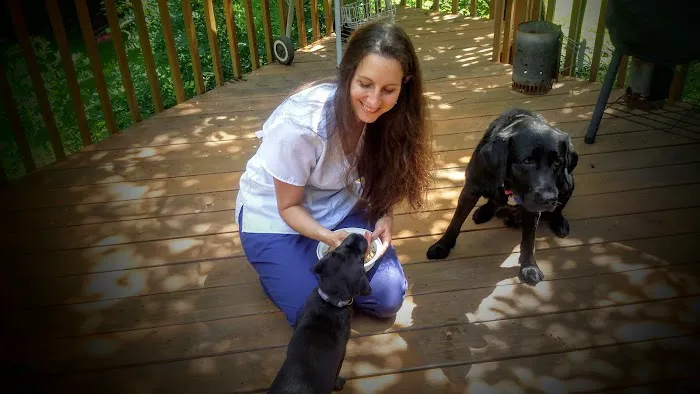 Jockey Hollow Veterinary Practice Picture 10