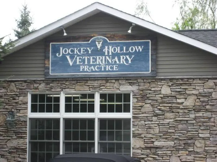 Jockey Hollow Veterinary Practice Picture 8