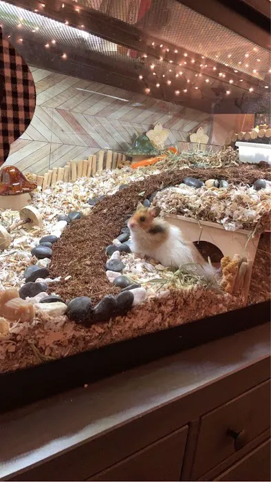 Pet Haven Picture 1
