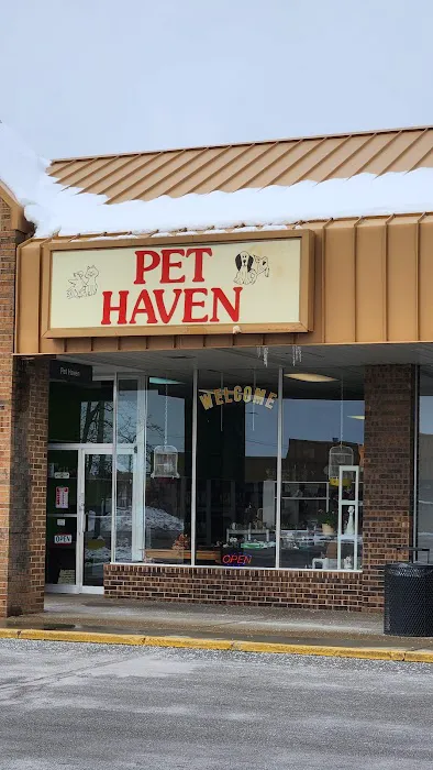 Pet Haven Picture 5