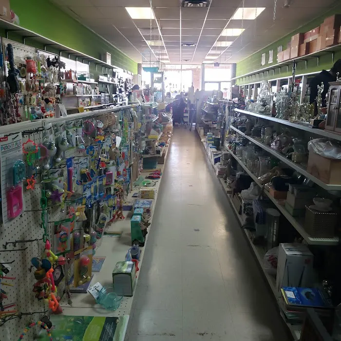 Pet Haven Picture 7