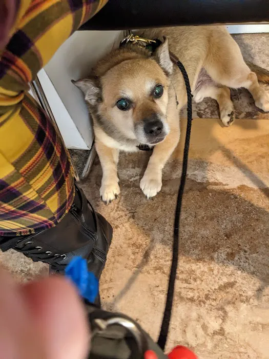 Shohola Veterinary Hospital Picture 4