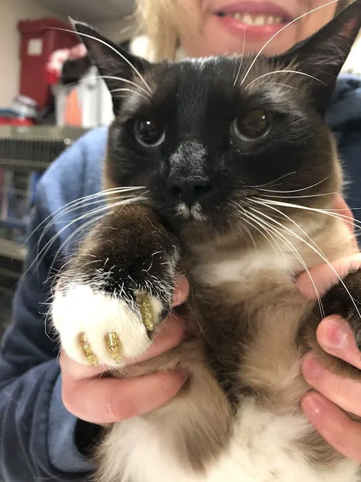 Shohola Veterinary Hospital Picture 9