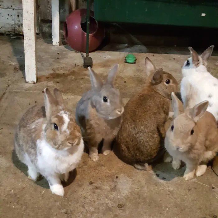 Roeder's Ark Veterinary Hospital Picture 4