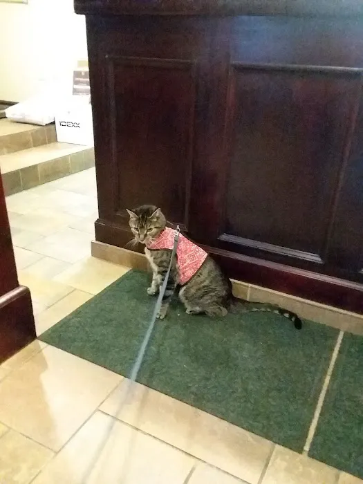 Roeder's Ark Veterinary Hospital Picture 8