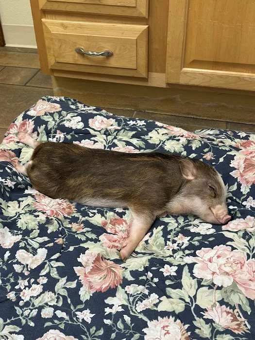 Roeder's Ark Veterinary Hospital Picture 7