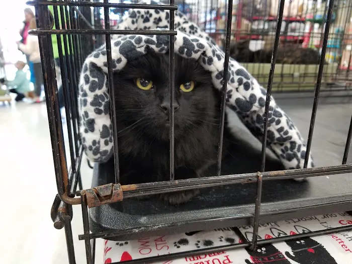 Petco Picture 6