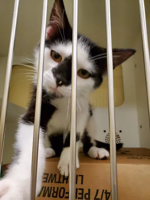 Petco Picture 2