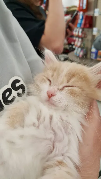 Petco Picture 5