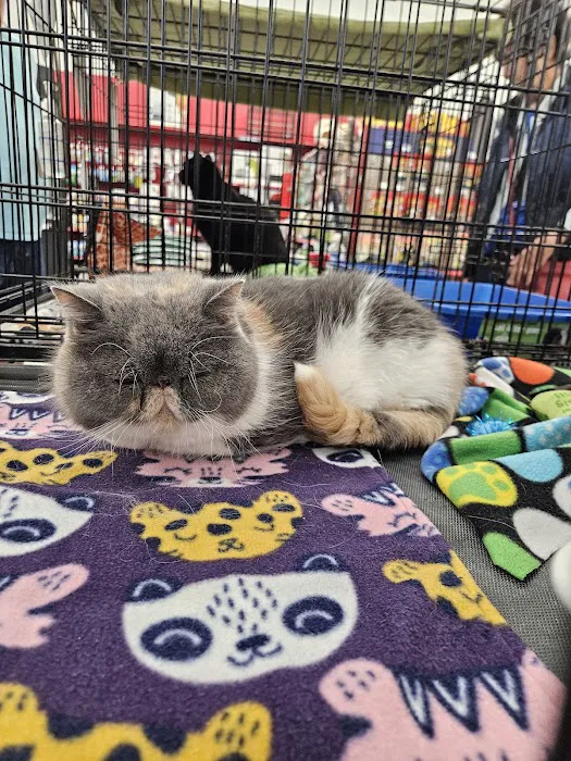 Petco Picture 4