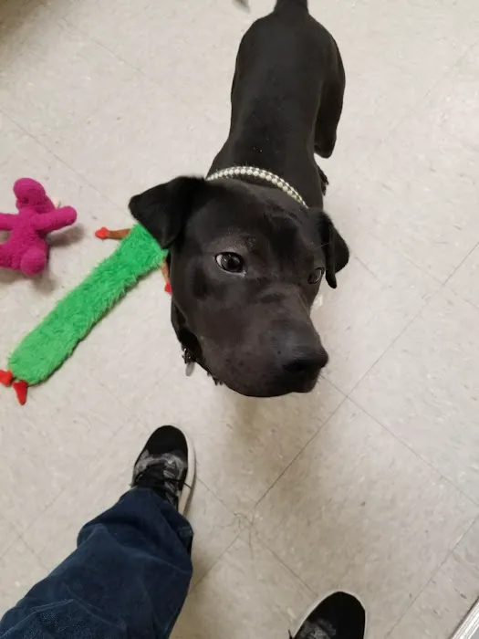Petco Picture 9