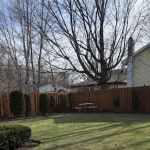 Greenwood Lake Animal Hospital: Goldstein Bennett DVM