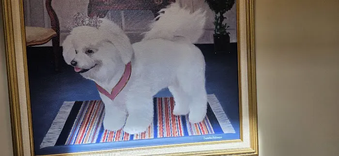 Greenwood Lake Animal Hospital: Goldstein Bennett DVM Picture 3