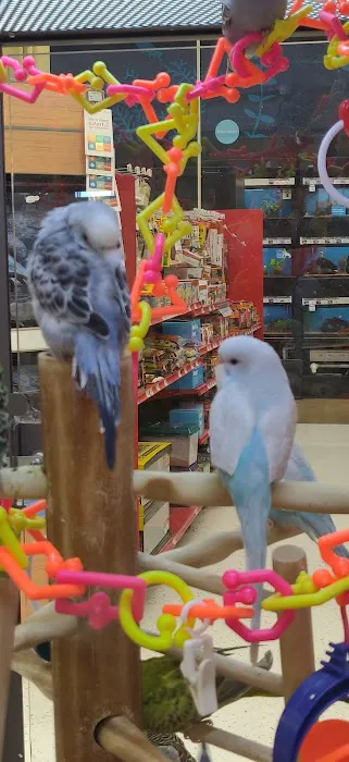 Petco Picture 1
