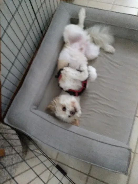 Petco Picture 3