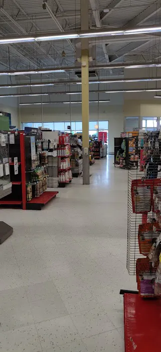 Petco Picture 4