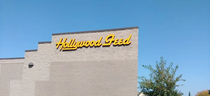 Hollywood Feed Picture 2