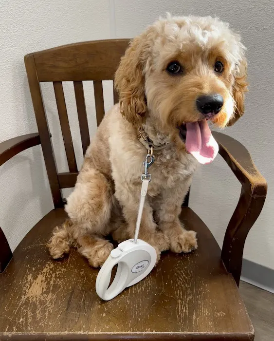Country Willow Veterinary Hospital Picture 1