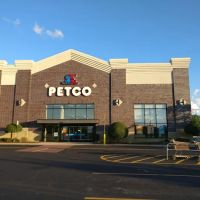 Petco ico