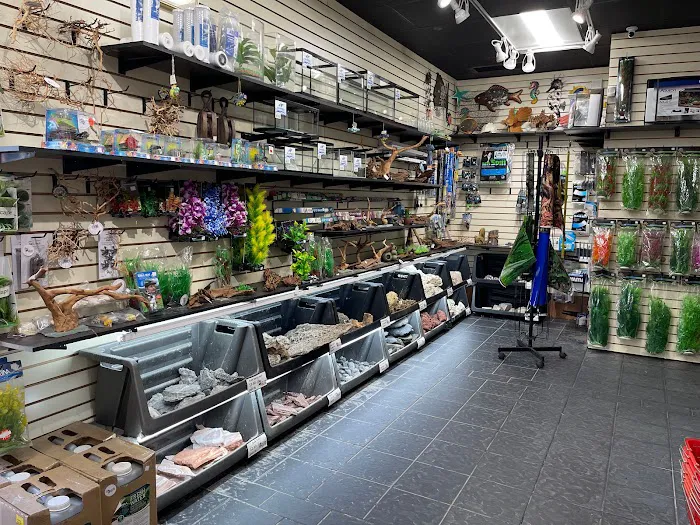 Endless Pets and Supplies Picture 4