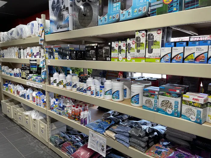 Endless Pets and Supplies Picture 7