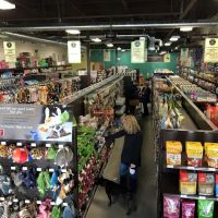 Premier Pet Supply ico