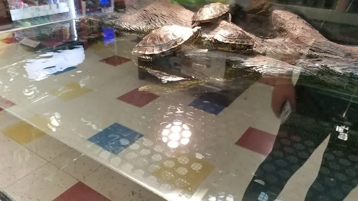 Petco Picture 5