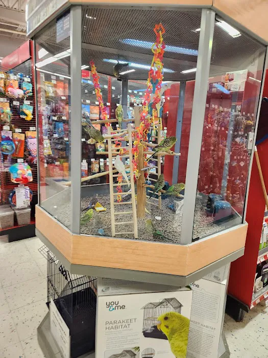 Petco Picture 7