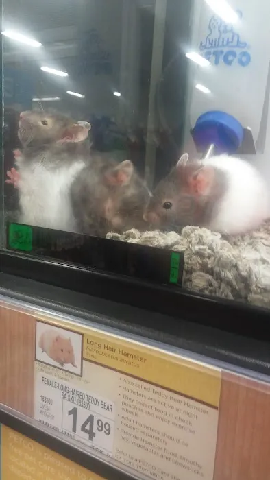 Petco Picture 8
