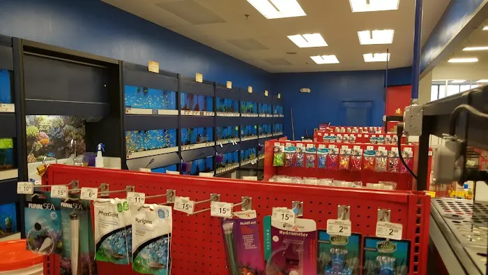 Petco Picture 3