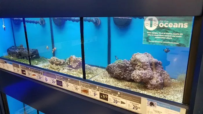 Petco Picture 1
