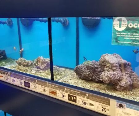 Petco