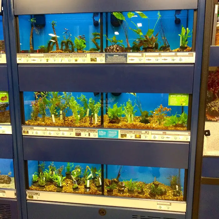 Petco Picture 10