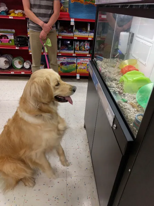 Petco Picture 9