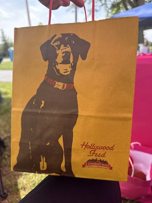 Hollywood Feed Picture 3