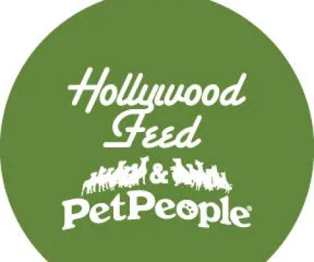 Hollywood Feed
