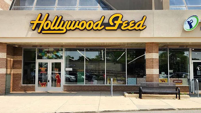 Hollywood Feed Picture 2