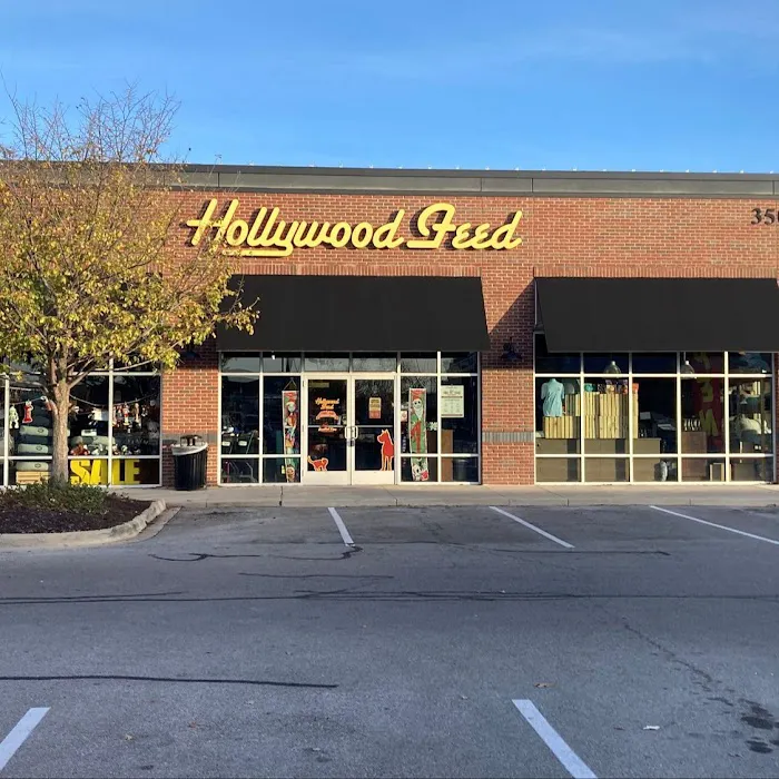 Hollywood Feed Picture 8