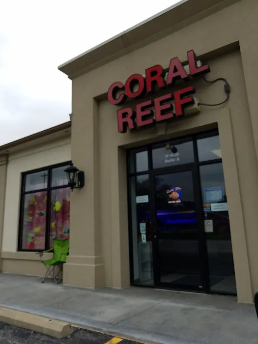 Coral Reef Picture 6